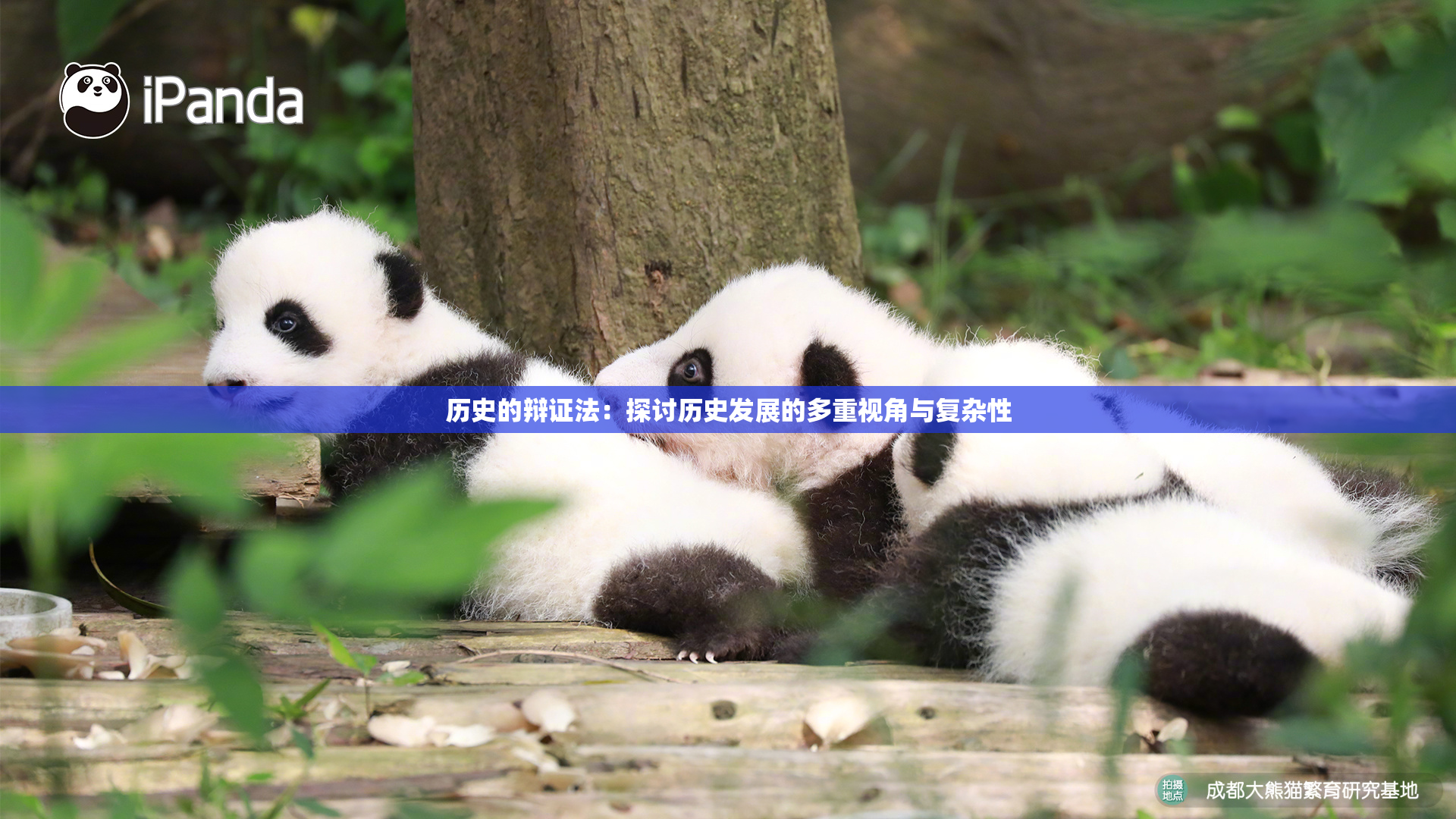 历史的辩证法：探讨历史发展的多重视角与复杂性