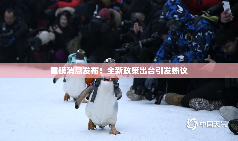 重磅消息发布！全新政策出台引发热议