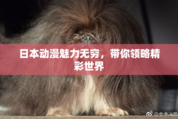 日本动漫魅力无穷，带你领略精彩世界