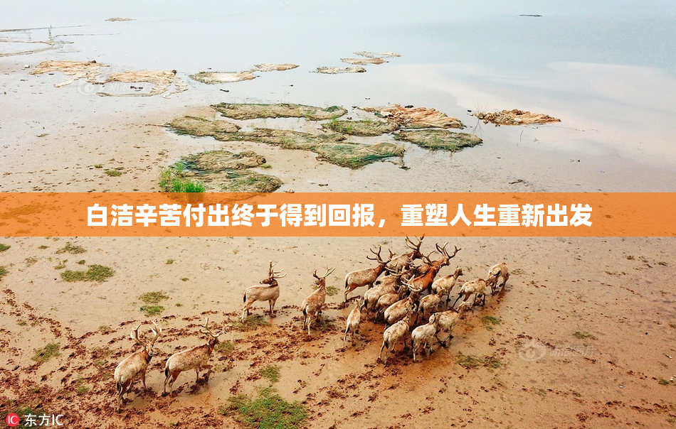 白洁辛苦付出终于得到回报，重塑人生重新出发
