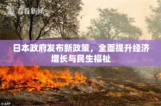 日本政府发布新政策，全面提升经济增长与民生福祉