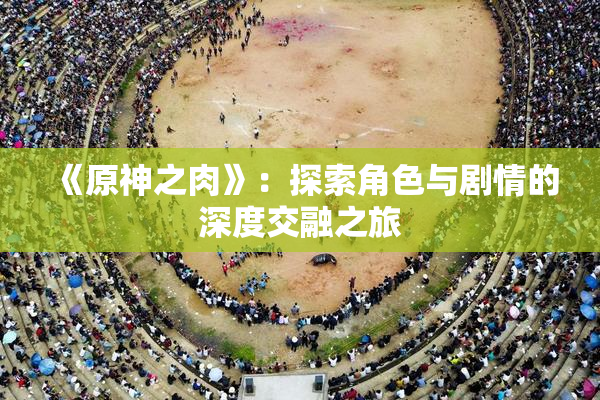 《原神之肉》：探索角色与剧情的深度交融之旅