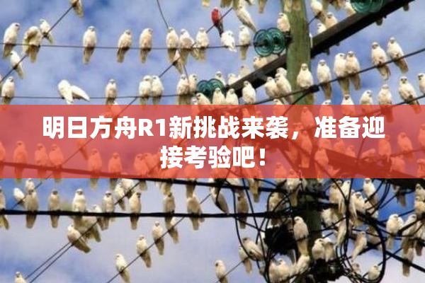 明日方舟R1新挑战来袭，准备迎接考验吧！