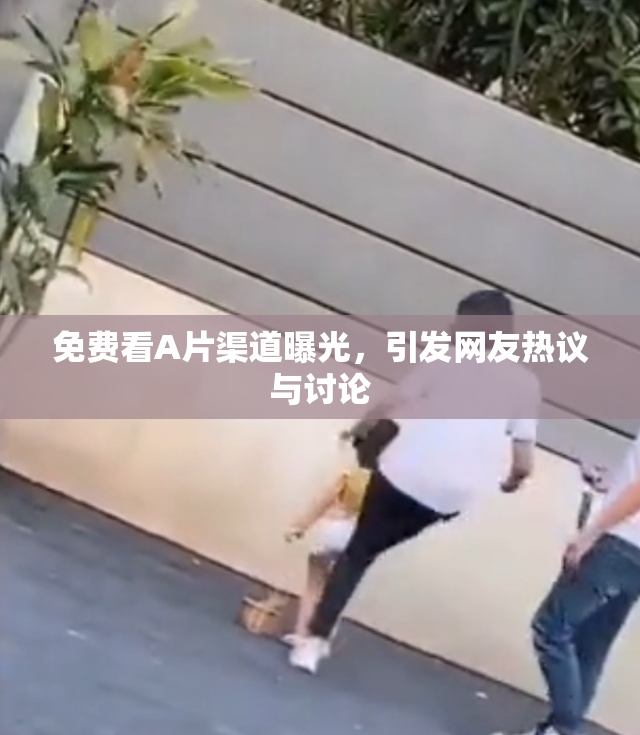 免费看A片渠道曝光，引发网友热议与讨论