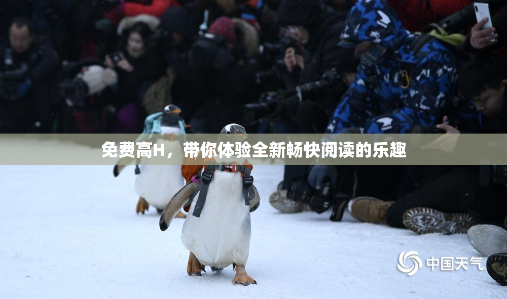 免费高H，带你体验全新畅快阅读的乐趣