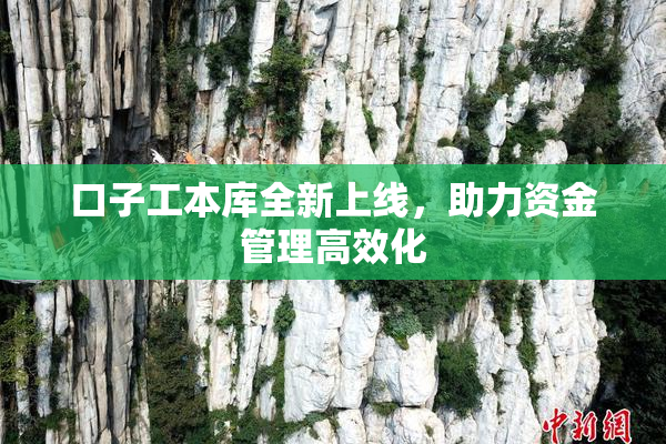 口子工本库全新上线，助力资金管理高效化
