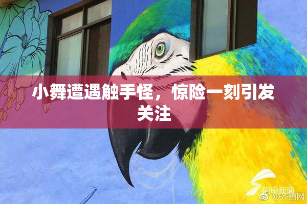 小舞遭遇触手怪，惊险一刻引发关注