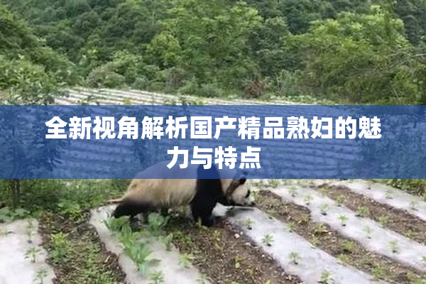 全新视角解析国产精品熟妇的魅力与特点
