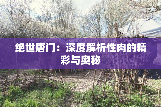 绝世唐门：深度解析性肉的精彩与奥秘