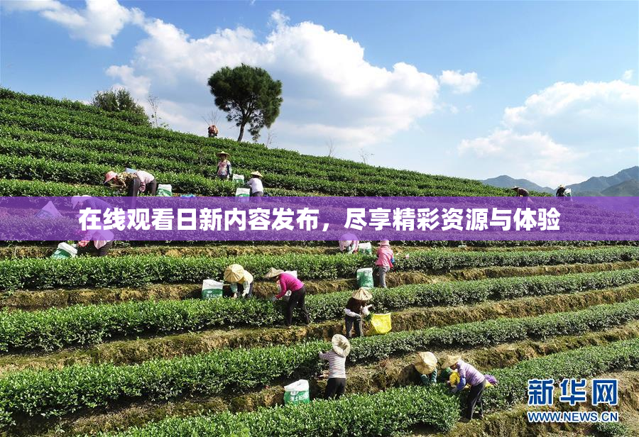 在线观看日新内容发布，尽享精彩资源与体验