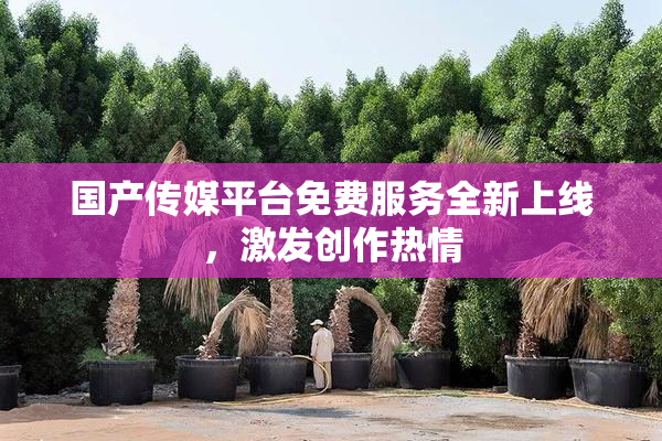 国产传媒平台免费服务全新上线，激发创作热情