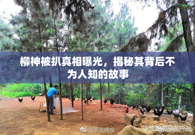 柳神被扒真相曝光，揭秘其背后不为人知的故事