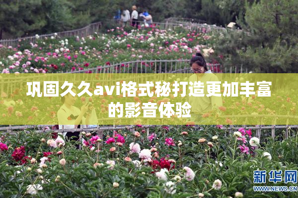 巩固久久avi格式秘打造更加丰富的影音体验