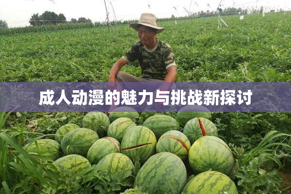 成人动漫的魅力与挑战新探讨