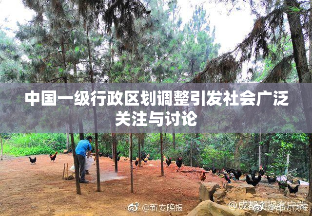 中国一级行政区划调整引发社会广泛关注与讨论