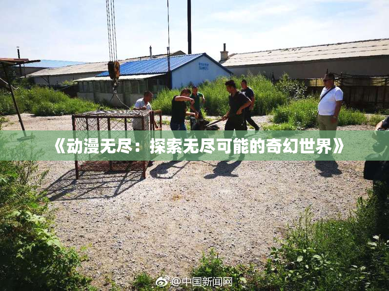 《动漫无尽：探索无尽可能的奇幻世界》