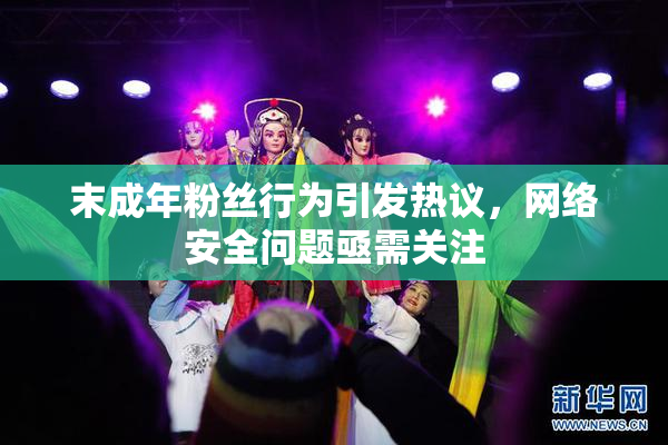 末成年粉丝行为引发热议，网络安全问题亟需关注