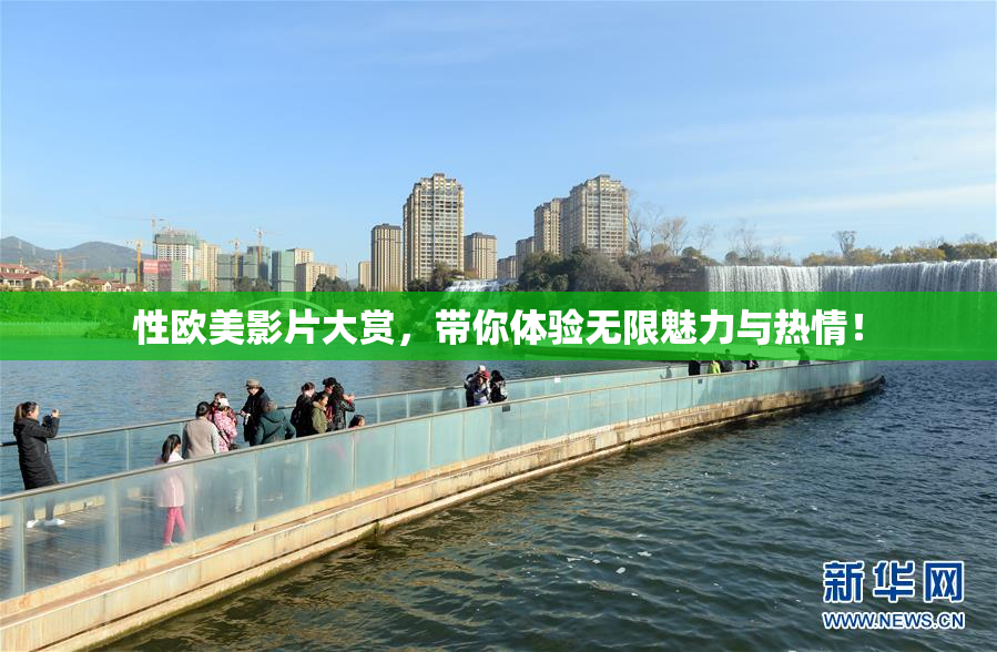 性欧美影片大赏，带你体验无限魅力与热情！