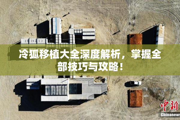 冷狐移植大全深度解析，掌握全部技巧与攻略！