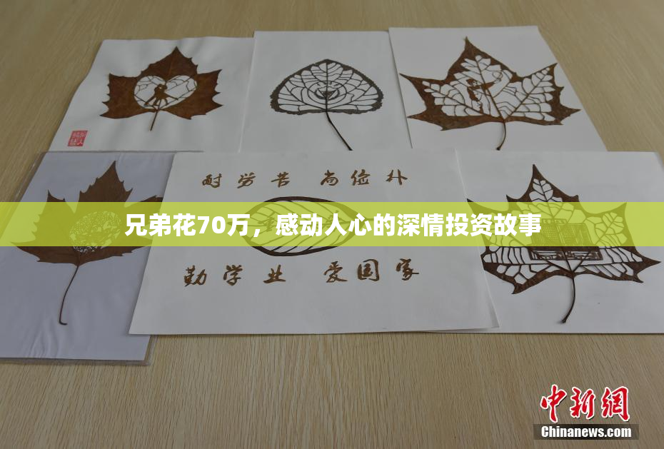 兄弟花70万，感动人心的深情投资故事