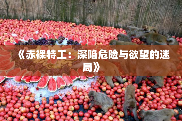 《赤裸特工：深陷危险与欲望的迷局》