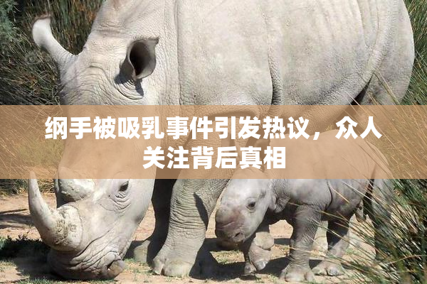 纲手被吸乳事件引发热议，众人关注背后真相