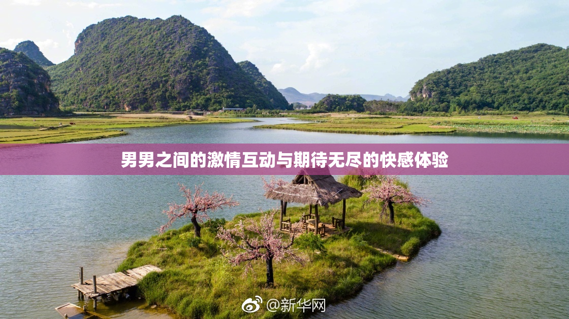 男男之间的激情互动与期待无尽的快感体验