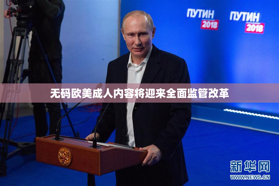 无码欧美成人内容将迎来全面监管改革