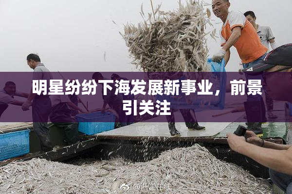 明星纷纷下海发展新事业，前景引关注