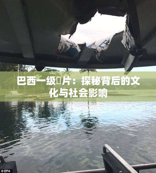 巴西一级婬片：探秘背后的文化与社会影响