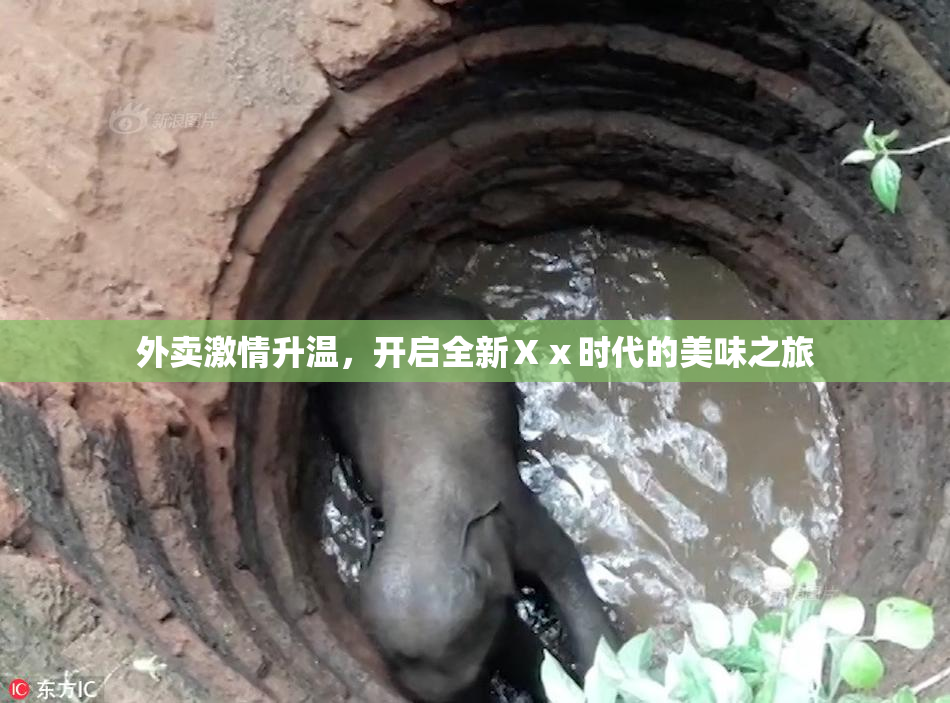 外卖激情升温，开启全新Ⅹⅹ时代的美味之旅