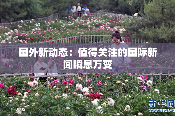 国外新动态：值得关注的国际新闻瞬息万变