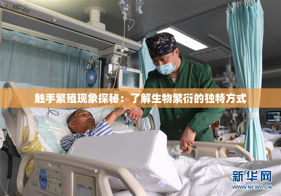 触手繁殖现象探秘：了解生物繁衍的独特方式