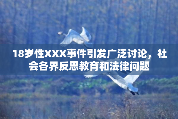 18岁性XXX事件引发广泛讨论，社会各界反思教育和法律问题