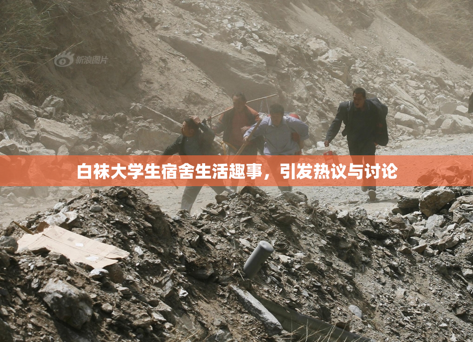 白袜大学生宿舍生活趣事，引发热议与讨论