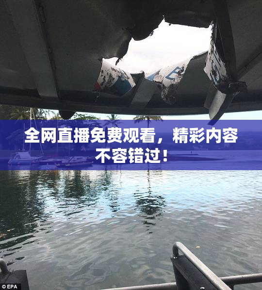 全网直播免费观看，精彩内容不容错过！