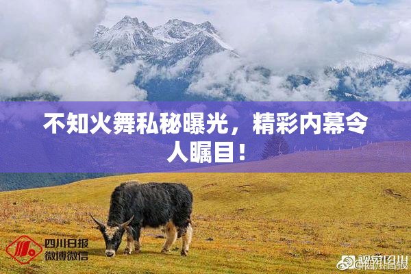 不知火舞私秘曝光，精彩内幕令人瞩目！