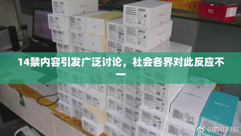 14禁内容引发广泛讨论，社会各界对此反应不一