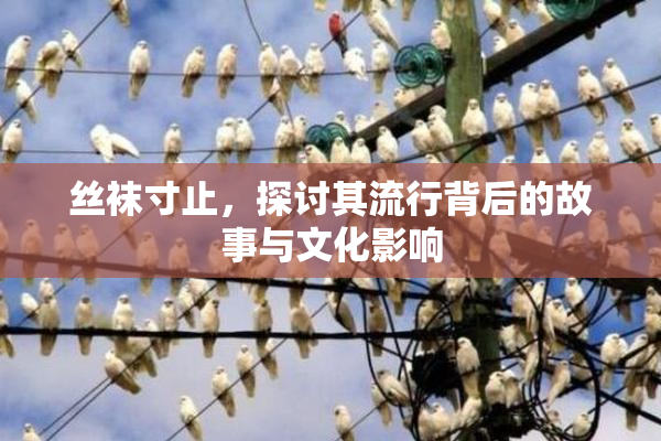 丝袜寸止，探讨其流行背后的故事与文化影响