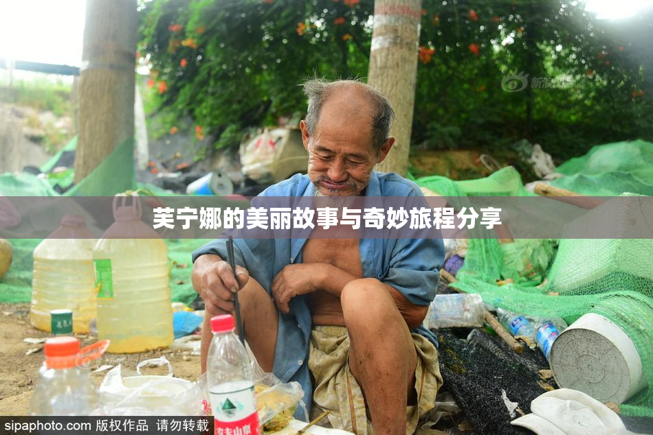 芙宁娜的美丽故事与奇妙旅程分享