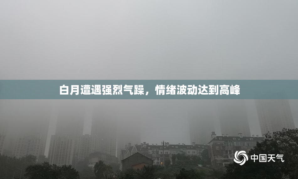 白月遭遇强烈气躁，情绪波动达到高峰