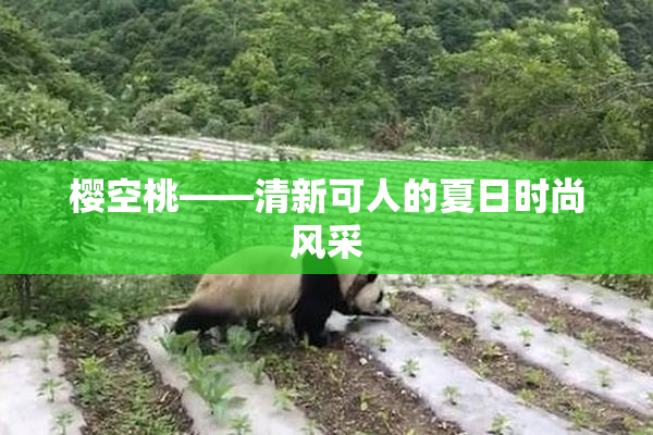 樱空桃——清新可人的夏日时尚风采