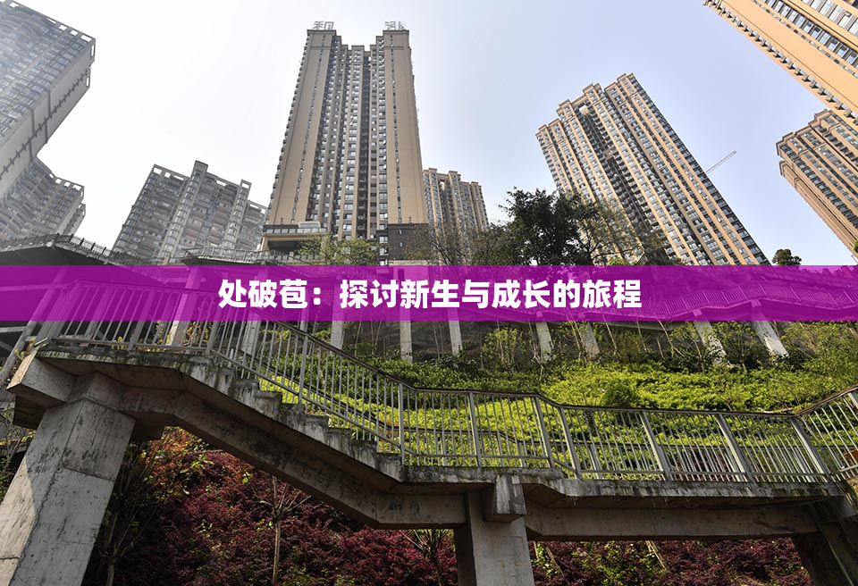 处破苞：探讨新生与成长的旅程