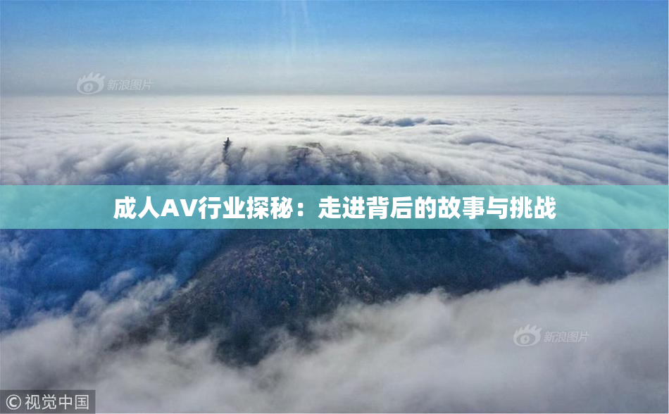 成人AV行业探秘：走进背后的故事与挑战