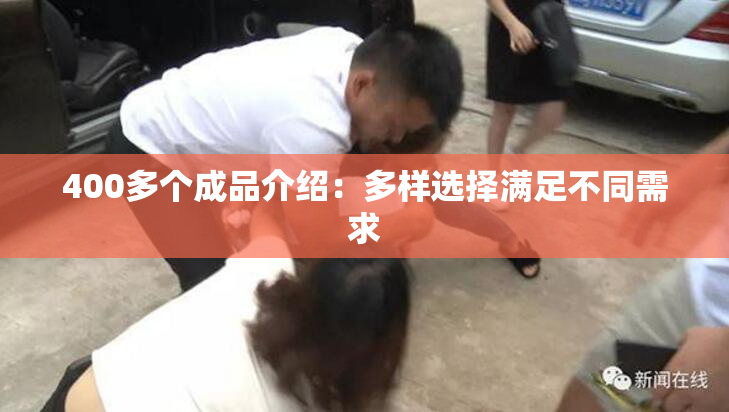 400多个成品介绍：多样选择满足不同需求