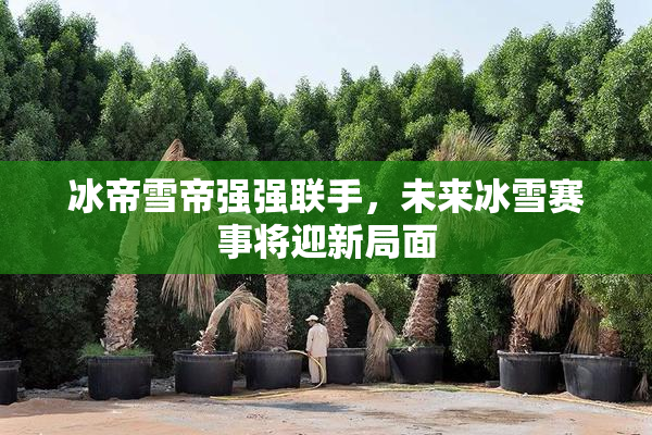 冰帝雪帝强强联手，未来冰雪赛事将迎新局面