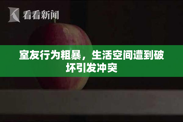 室友行为粗暴，生活空间遭到破坏引发冲突