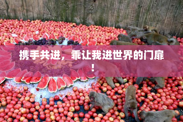 携手共进，乖让我进世界的门扉！