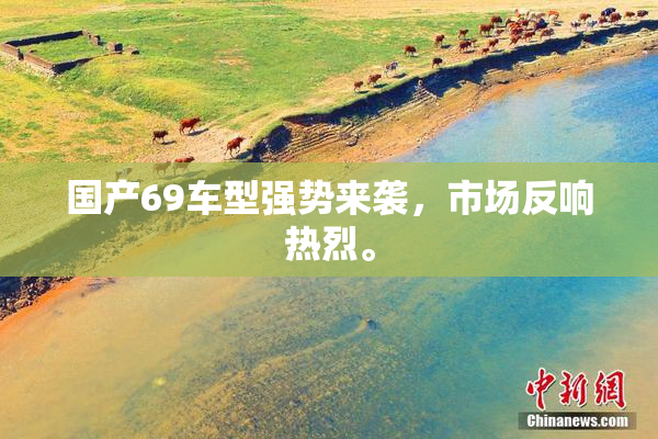 国产69车型强势来袭，市场反响热烈。