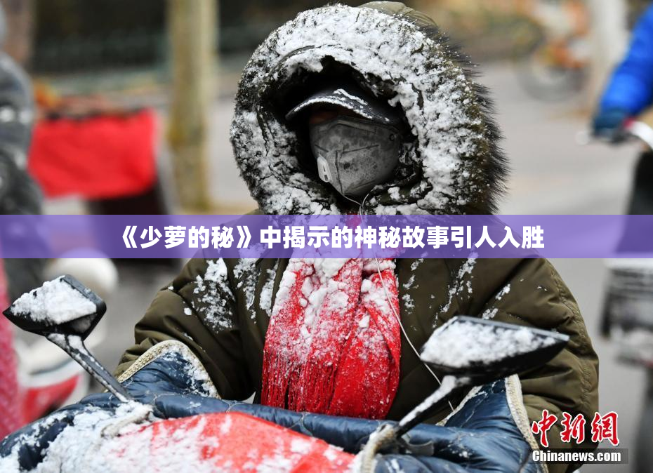 《少萝的秘》中揭示的神秘故事引人入胜